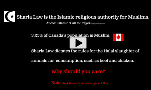 Speaking Up Against Sharia Law, Halal Meat