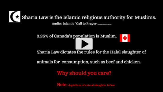 Speaking Up Against Sharia Law, Halal Meat