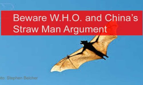 Calling ‘Batshit’ on China’s Coronavirus Excuses