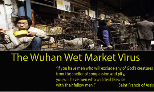 The Tortured Animals of the Wuhan Wet Market