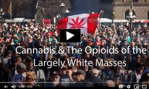 Cannabis and the Opioids of the Largely White Masses