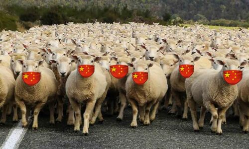 Liberals and Communist Sex Education