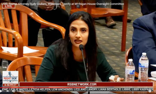 Republican Witnesses Outclassed Democrat Senators’ Thuggery at Election Fraud Hearing