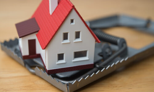 The BC NDP Public and Private Land Owner Trap: We Need a Referendum